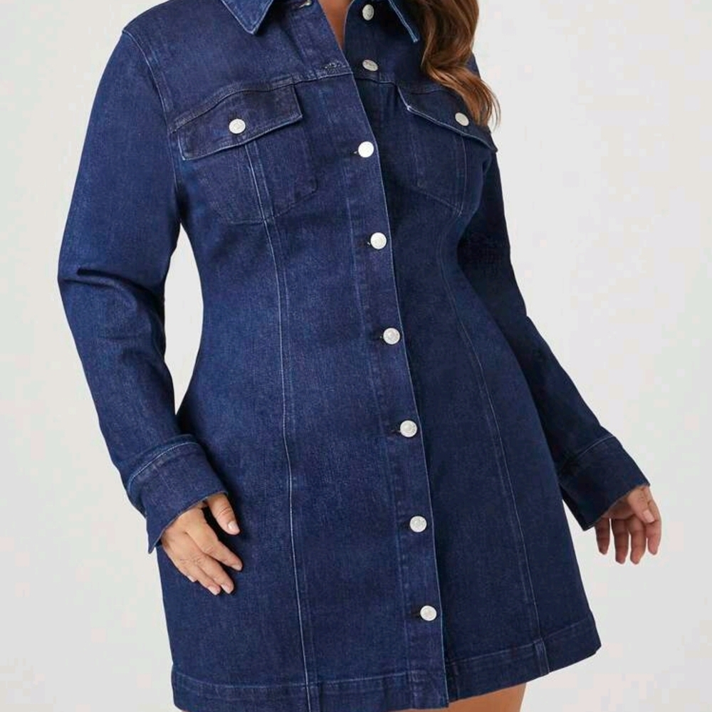Forever 21 Blue Long Sleeve Dress